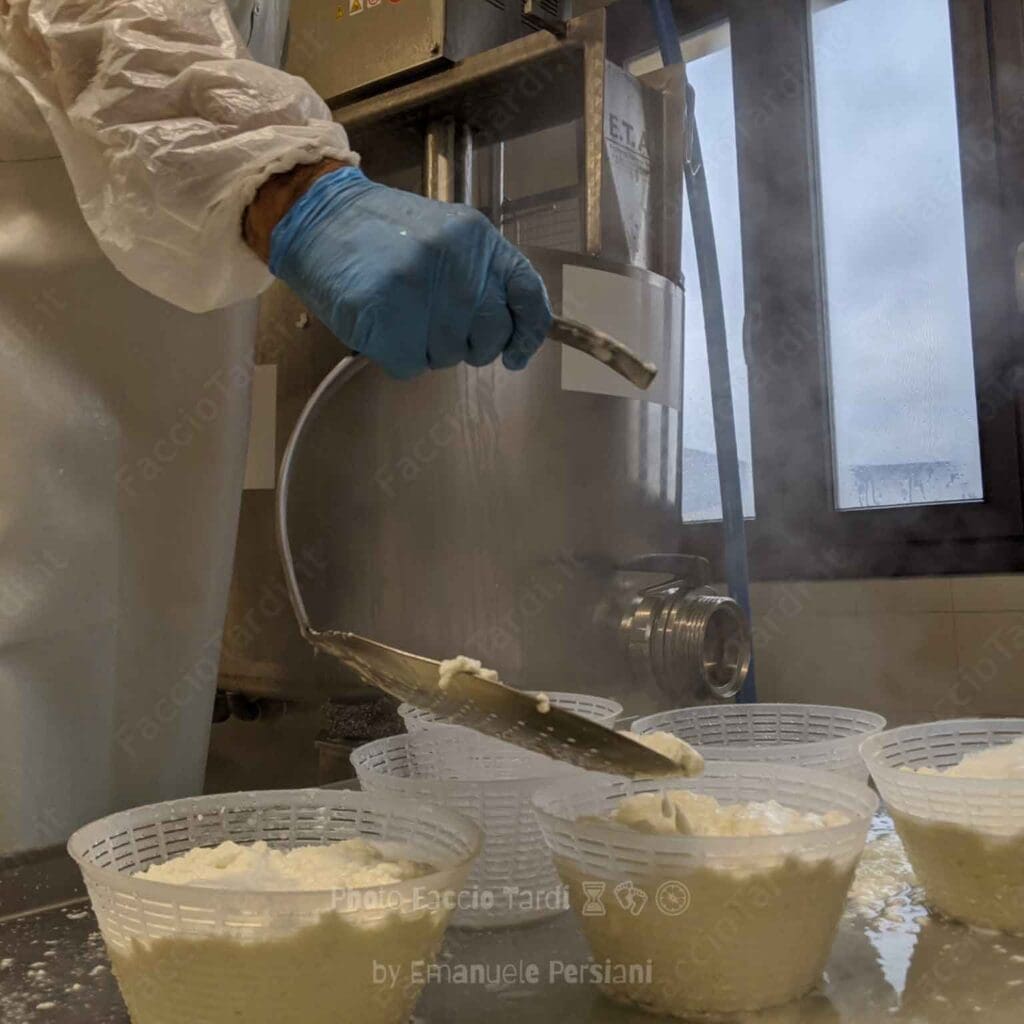 dairy farms sustainable tourism true Km0