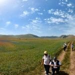 Flowering cover trekking 25 km in Castelluccio by Norcia Piangrande