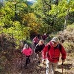 Excursions organized in the mountains for Foliage