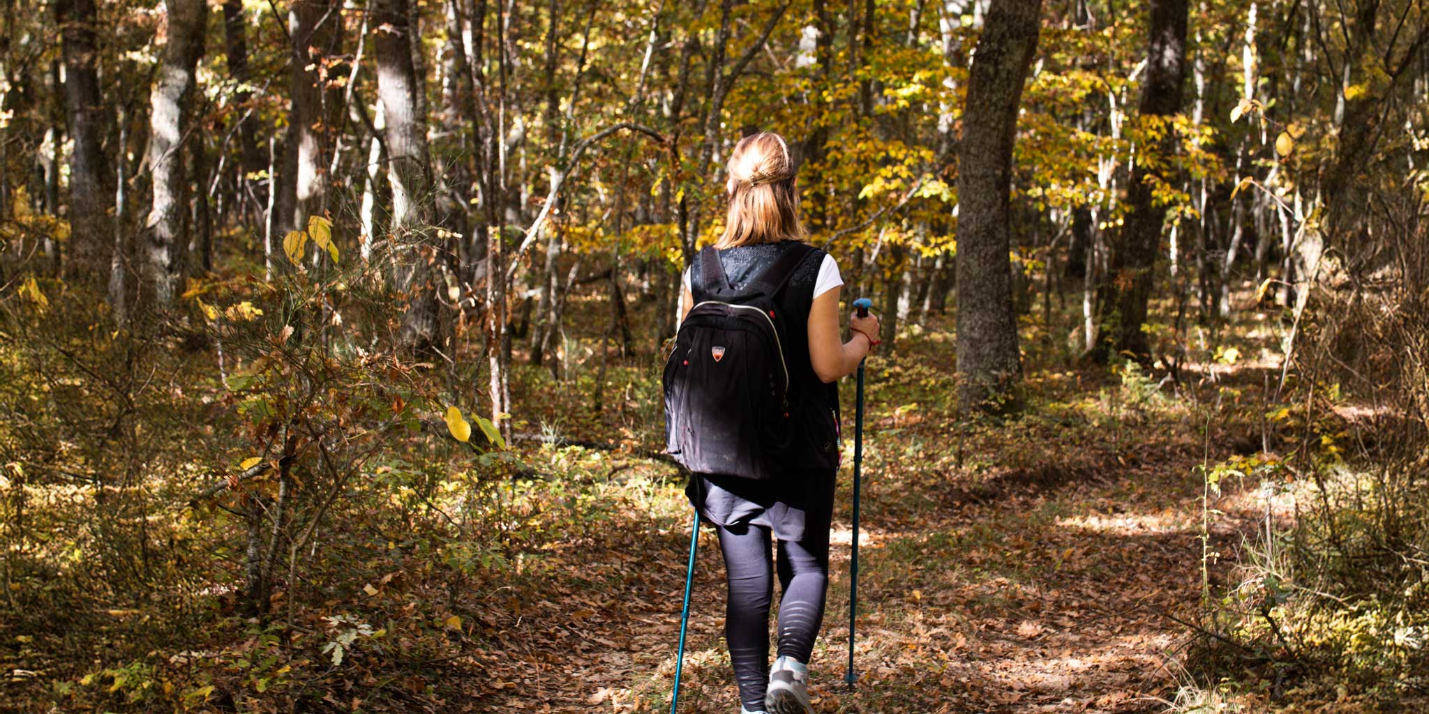 Escursioni e tour a pagamento a Norcia
