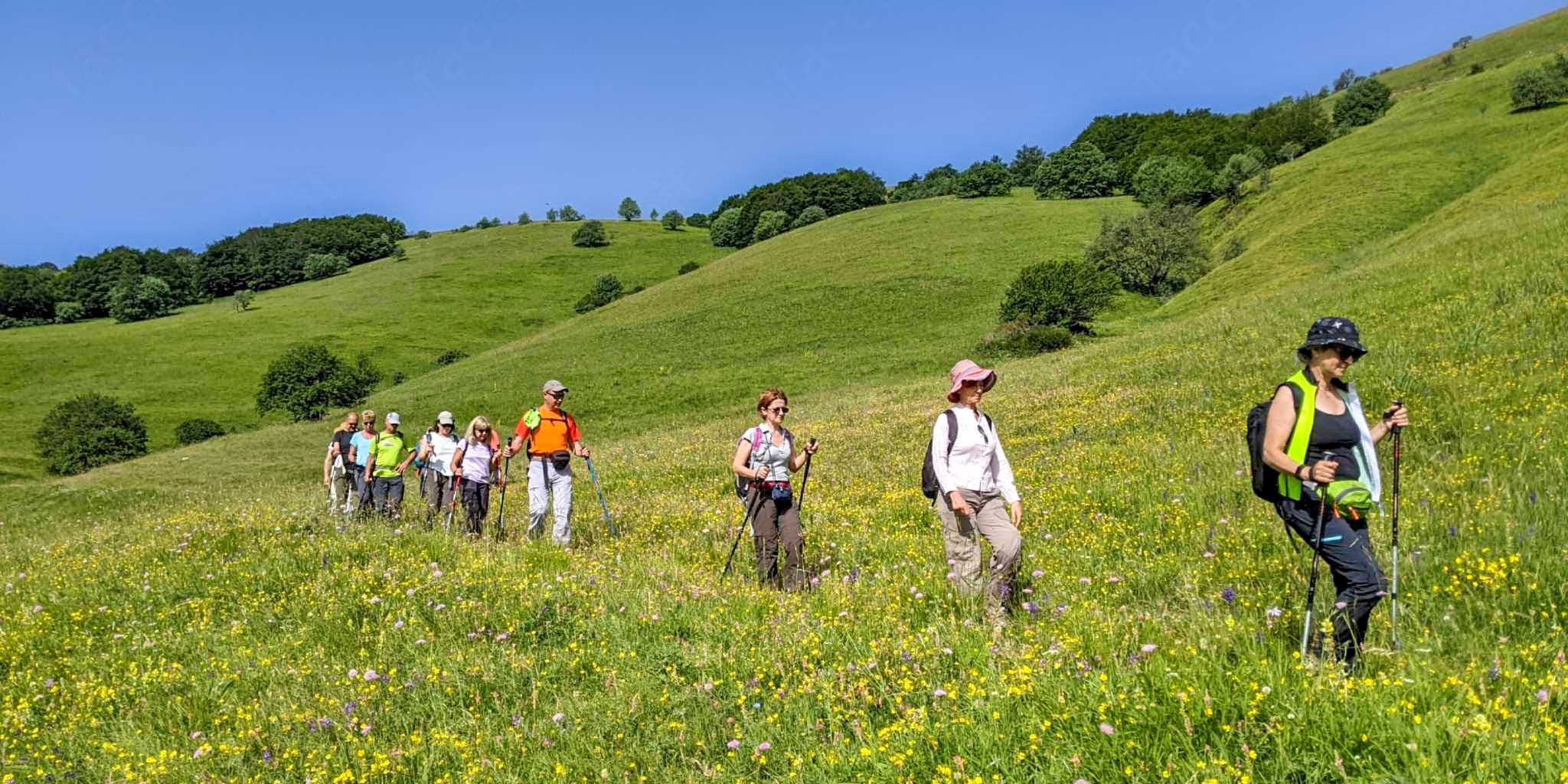 Escursione Castelluccio Norcia fioritura spontanea
